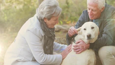 Spot-of-light-against-caucasian-senior-couple-playing-with-their-dog-in-the-garden