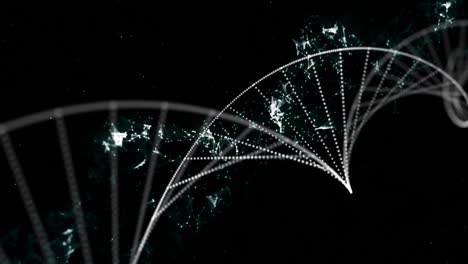 Digitale-Animation-Der-Sich-Drehenden-DNA-Struktur-Und-Digitaler-Welle-Vor-Schwarzem-Hintergrund