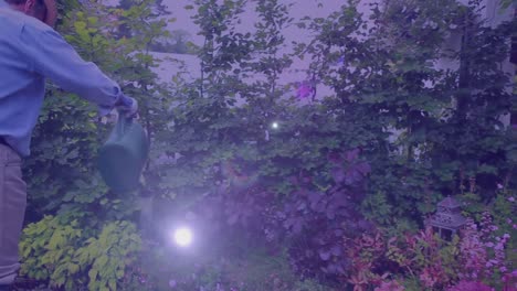 Zusammengesetztes-Video-Eines-Lichtflecks-Vor-Einem-Kaukasischen-älteren-Mann,-Der-Pflanzen-Im-Garten-Gießt