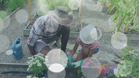 Video-of-blue-lights-over-biracial-man-and-girl-working-in-garden