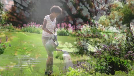 Composite-video-of-tall-trees-against-african-american-woman-watering-plants-in-the-garden