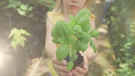 Spots-of-light-against-caucasian-girl-holding-a-plant-sampling-in-the-garden