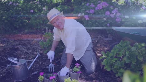 Spot-of-light-against-caucasian-senior-man-gardening-in-the-garden