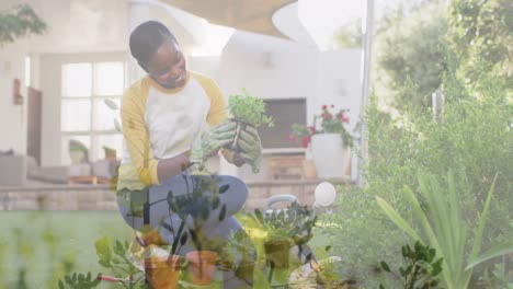 Zusammengesetztes-Video-Von-Pflanzen-Im-Garten-Gegen-Eine-Afroamerikanische-Frau,-Die-Zu-Hause-Eine-Pflanze-Hält
