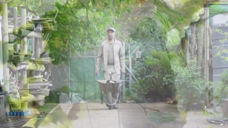 Composite-video-of-tall-trees-against-asian-senior-man-moving-a-garden-cart-in-the-garden