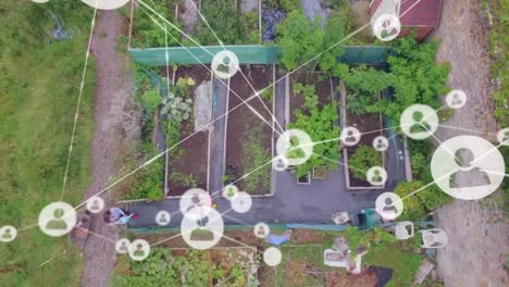 Video-of-network-of-connections-over-above-view-of-garden