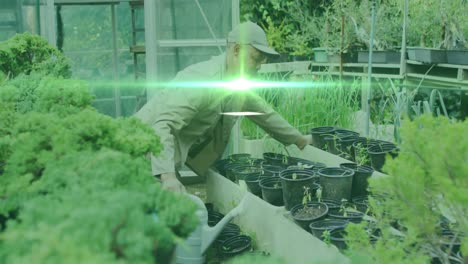 Green-spot-of-light-moving-against-asian-senior-man-watering-plants-in-the-garden