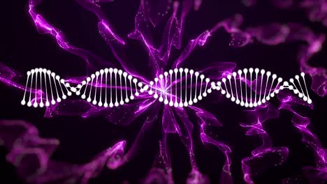 Animation-of-dna-strand-and-pink-trails-on-black-background