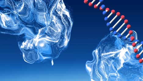 Digitale-Animation-Einer-DNA-Struktur,-Die-Sich-Gegen-Eine-Digitale-Welle-Auf-Blauem-Hintergrund-Dreht