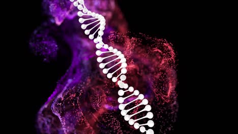 Animation-of-dna-strand-and-colourful-trails-on-black-background