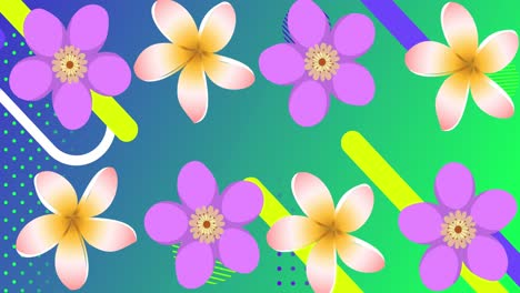 Animation-Von-Blumen-Und-Beweglichen-Formen-Auf-Grünem-Hintergrund