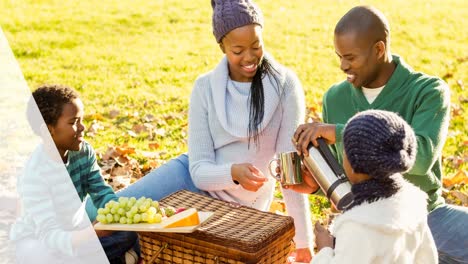 Animation-of-picnic-basket-over-smiling-african-american-family-having-picnic-in-park