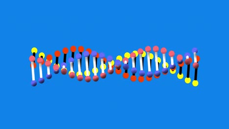 Animation-Von-DNA-Strängen,-Die-Sich-Auf-Blauem-Hintergrund-Drehen