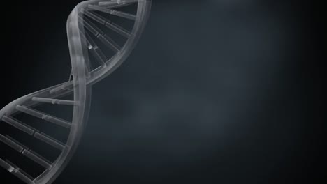 Video-Des-Sich-Drehenden-DNA-Strangs-Mit-Kopierraum-Auf-Schwarzem-Hintergrund