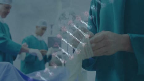 Animation-of-dna-strand-over-female-diverse-surgeon-putting-gloves-on