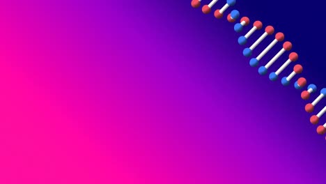 Video-Des-Sich-Drehenden-DNA-Strangs-Mit-Kopierraum-Auf-Violettem-Bis-Rosa-Hintergrund