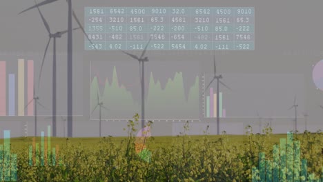 Animation-of-financial-data-processing-over-wind-turbines-and-landscape