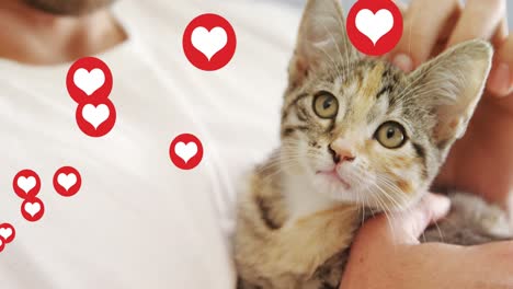 Multiple-heart-icons-floating-against-mid-section-of-a-man-playing-with-his-kitten