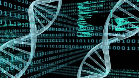 Animation-Von-DNA-Strängen-über-Datenverarbeitungsformen-Auf-Schwarzem-Hintergrund