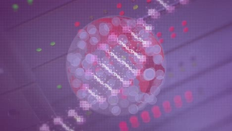 Animation-Von-DNA-Strang-Und-Globus-Mit-Netzwerk-Von-Verbindungen-über-Server