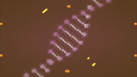 Animation-Eines-DNA-Strangs-Und-Kreisen-über-Dem-Stadtbild