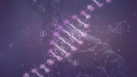 Animation-of-dna-strand-over-network-of-connections-on-black-background