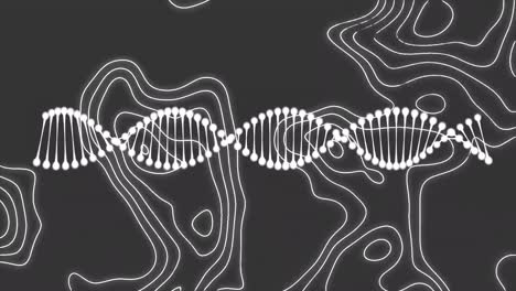 Animation-of-dna-strand-spinning-and-white-lines-on-grey-background