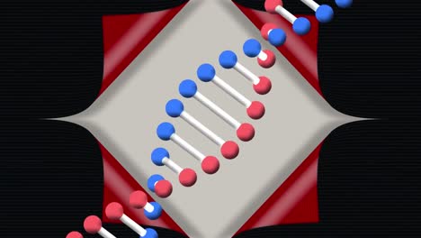 Animation-of-dna-chain-rotating-over-beige,-red,-and-black-background