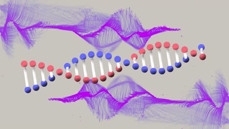 Animation-Der-DNA-Kette-Auf-Beigem-Hintergrund-Mit-Violetten-Wellen