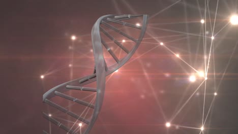 Animation-Eines-DNA-Strangs-über-Ein-Netzwerk-Von-Verbindungen-Auf-Schwarzem-Hintergrund