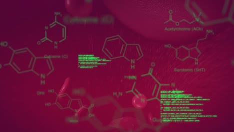 Animation-of-chemical-formulas-and-data-processing-over-floating-blood-cells