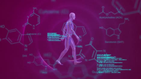 Animation-of-chemical-formulas-and-data-processing-over-walking-model-of-human-body