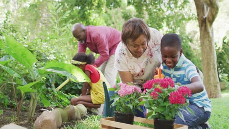 Animation-of-happy-african-american-grandmother-and-grandson-planting-flowers-in-garden