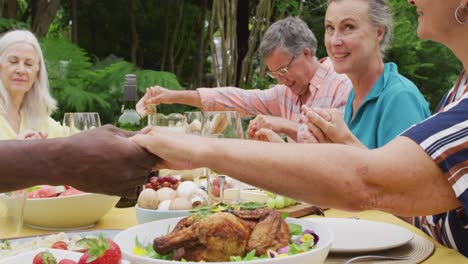 Animation-of-happy-diverse-female-and-male-senior-friends-having-lunch-in-garden