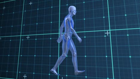 Animation-of-walking-human-model-over-checked-dark-blue-space
