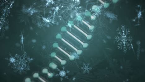 Animation-Von-Schneeflocken,-Die-über-Eine-Rotierende-DNA-Kette-Fallen