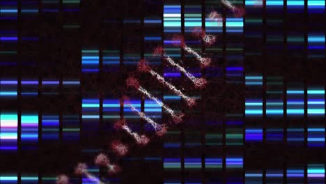 Animation-Einer-DNA-Kette,-Die-Sich-über-Wechselnde-Lichter-Im-Schwarzen-Raum-Dreht