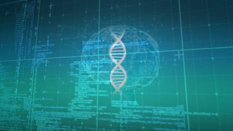 Animation-of-dna-strand-and-digital-brain-over-data-processing-on-green-background