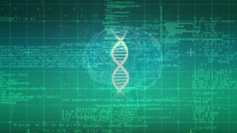 Animation-Des-DNA-Strangs-über-Datenverarbeitung-Und-Digitales-Gehirn-Auf-Grünem-Hintergrund