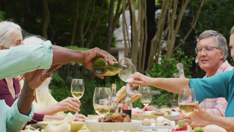 Animation-of-diverse-happy-senior-female-and-male-friends-eating-lunch-in-garden,-pouring-wine