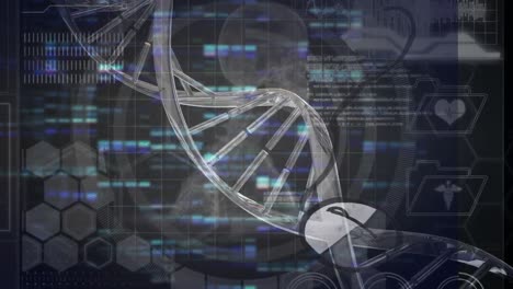 Animation-Eines-DNA-Strangs-Und-Beweglicher-Säulen-über-Einem-Skelettmodell-Auf-Schwarzem-Hintergrund