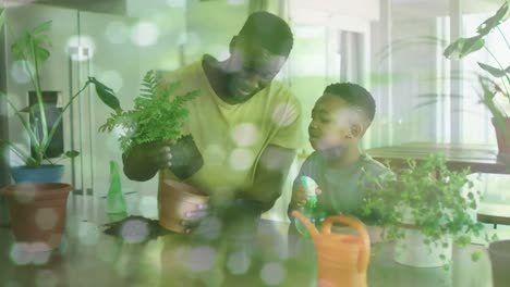 Animation-of-lights-on-water-over-happy-african-american-father-and-son-repotting-plants