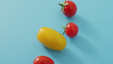 Video-of-close-up-of-four-fresh-cherry-and-yellow-tomatoes-with-copy-space-on-blue-background
