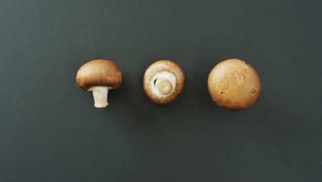 Video-of-fresh-three-mushrooms-with-copy-space-on-grey-background