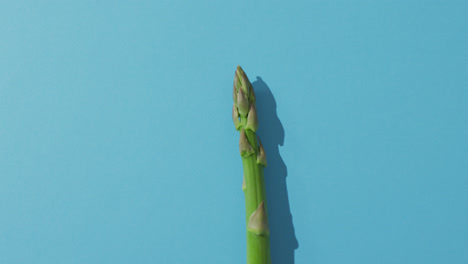 Video-of-fresh-asparagus-with-copy-space-over-blue-background