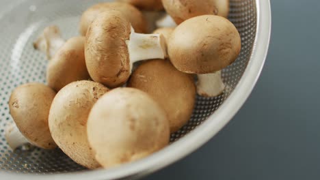 Video-of-close-up-of-bowl-of-fresh-mushrooms-on-grey-background