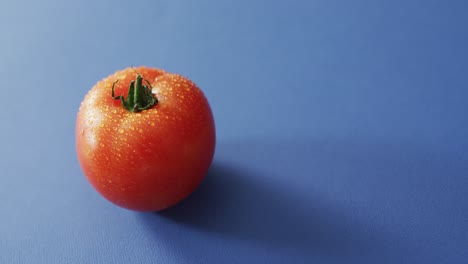 Video-Einer-Frischen-Roten-Tomate-Mit-Kopierraum-Auf-Blauem-Hintergrund
