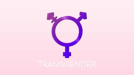 Animation-of-transgender-text-and-symbol-on-white-background