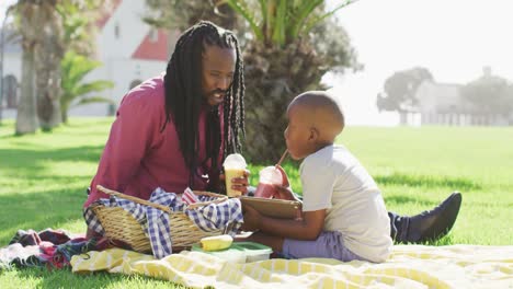 Video-Eines-Glücklichen-Afroamerikanischen-Vaters-Und-Sohnes-Beim-Picknick-Im-Freien-An-Einem-Sonnigen-Tag