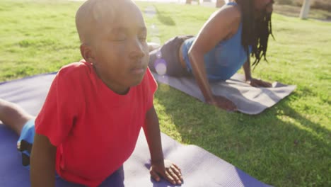 Video-of-african-american-son-and-father-practicing-yoga-on-grass-on-sunny-day